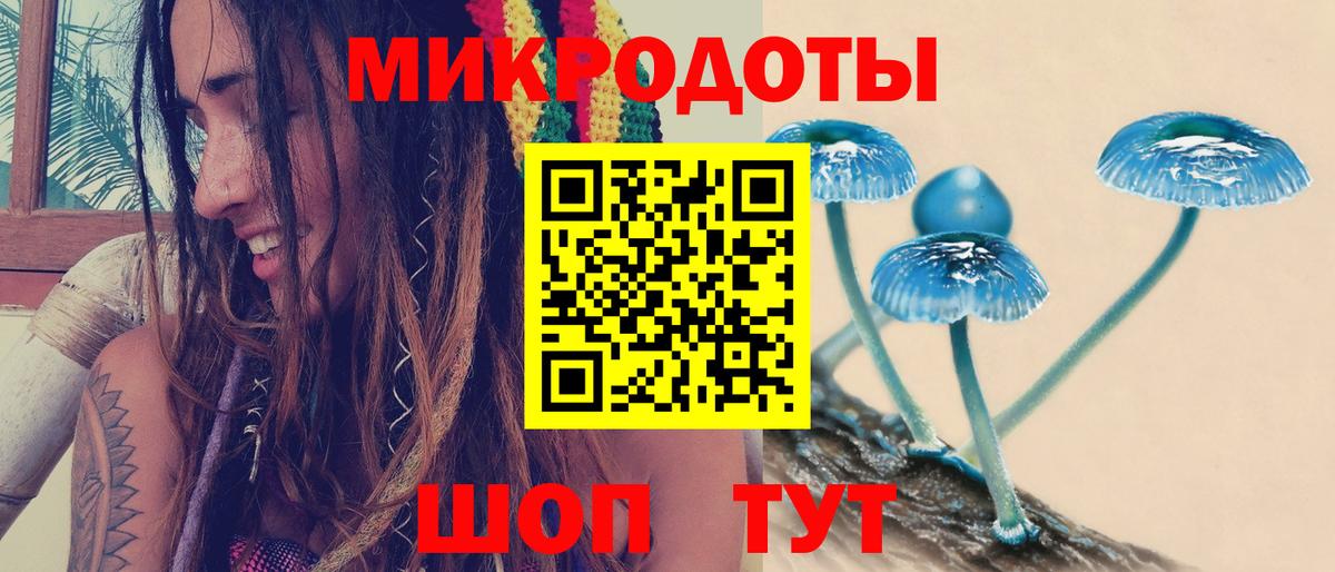 Галлюциногенные грибы Psilocybine cubensis  Вход с VPN  Владикавказ 