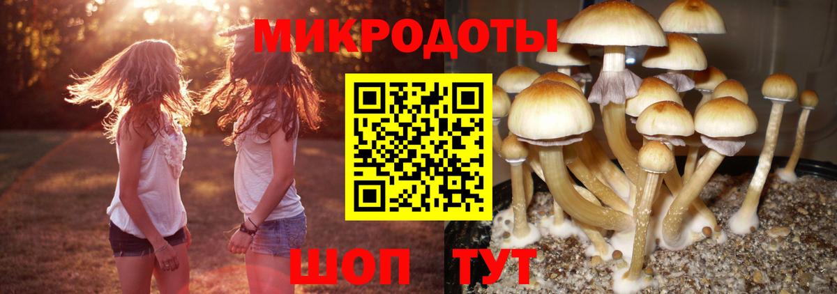 Псилоцибиновые грибы прущие грибы Владикавказ